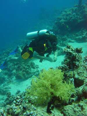 red sea_037.jpg
